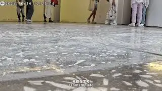 Leo Gallery Shanghai｜獅語現場｜龐海龍：匍匐的隱力