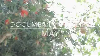 Document Your Life | May 2015
