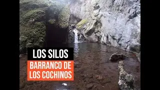 Los Silos - Barranco de los cochinos - TENERIFE [HD]