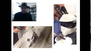 Episode 9: Preparing Fossil Mammals