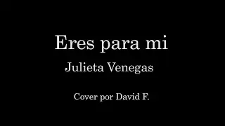 Eres para mi - Julieta Venegas - Cover por David F.