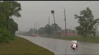 Osprey nest atop toppling FPL pole