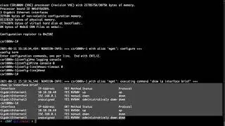7. Automating Your Network Tests and Deployments with pyATS and Genie