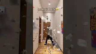 Make It Rain: The Viral Money Confetti Cannon for Your Next Party!