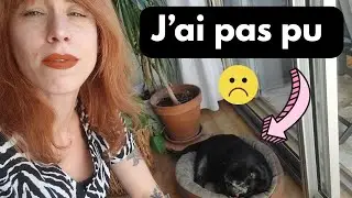 UN CARLIN ME METS EN PLS et autres drames autistiques