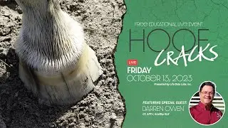 Hoof Cracks