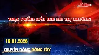Thực phẩm bẩn len lỏi thị trường | Chuyển động Đông Tây 18.01.2026 | Cần Thơ