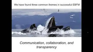 Communication, collaboration, and transparency