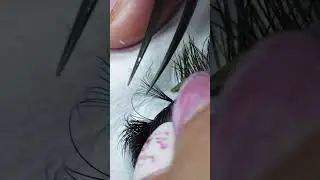 Mega Volume Lashes using @LostArtistryLash pre-fans 🤍 #lashes