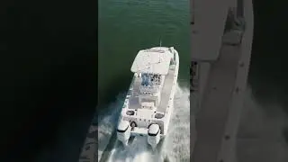 The Sea Cat 260 Hybrid is a fishing machine!