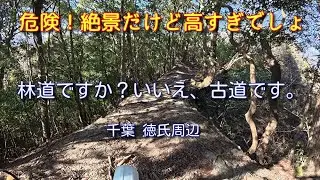 【千葉 馬の背林道】林道ですか？いいえ、古道です。