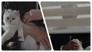 [4K] Every Ernst Stavro Blofeld/Number 001 scene portrayed by Anthony Dawson and Eric Pohlmann
