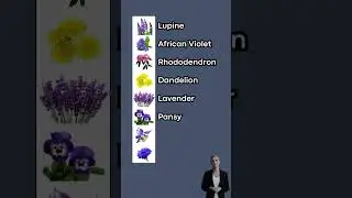 Flowers Vocabulary in English (P2)| English Stories |