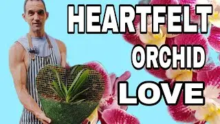Orchid Mounting Ideas: