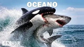 MISTÉRIOS DO OCEANO | Os Predadores Mais Ferozes dos Mares | Documentário Completo