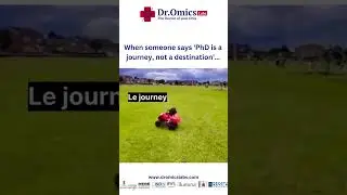 #phdstruggles