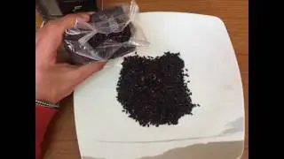 Chicchi di riso, angi foodart 🍴