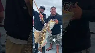 Fishing Santa Barbara Island on the El Patron out Long Beach Sportfishing.