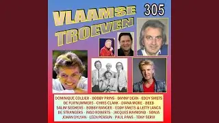 Stoef Stinkt