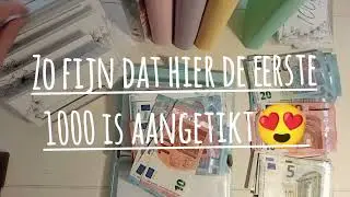 budget with me. geld wisselen met mijn mooie nieuwe placeholders 😍 #billswap