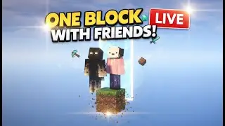 Minecraft ONE BLOCK SMP | Live with Friends