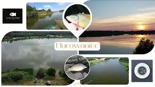 🎣 **5 dni czekania na karpia. Woda PZW Murowaniec uczy mnie cierpliwości :)🎣🌲**