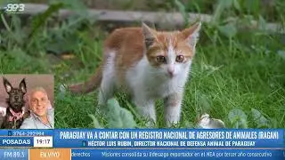 Paraguay va a contar con un Registro Nacional de Agresores de Animales (Ragan)