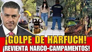 &iexcl;GOLPE DE HARFUCH EN MICHOAC&Aacute;N! | DESMANTELAN 3 NARCO-CAMPAMENTOS Y DETIENEN A 9