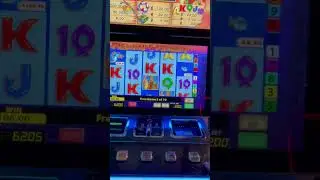 Fishing frenzy &pound;2 stake big win
