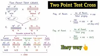 Two Point Test Cross l Chromosome Map l Competitive Botany l