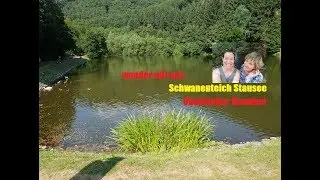 Stausee Schwanenteich Neuwied Oberbieber