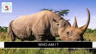 Find the Animal Name | 25 Easy Slides for Kids | Fun Animal Learning Video | Guess the Animal Name