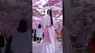 Chinese traditional clothes, hanfu.