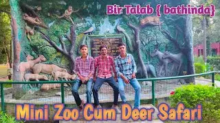 DEER PARK BIR TALAB mini zoo BATHINDA // 1k subscriber complete special vlog