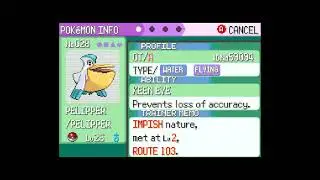 How to get Pelipper in Pokemon Emerald