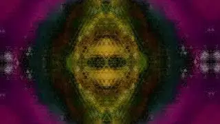 Wild Imagination in Motion