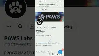 PAWS Airdrop New Task.