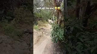 new sound? #mtb #funny #crash #canyontorque #mountainbike #downhillbike #mtblife #canyonmtb