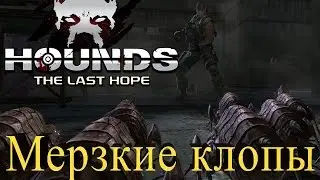 Hounds: The Last Hope - Шутер с прокачкой и PVE