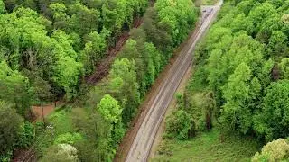 Forest BackGround Video : Drone Footage Of Road In Between Trees | 4K Video