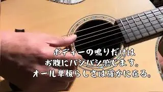 アコギが届いたので試奏　BROMO BAR5CE