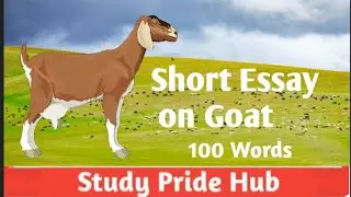 Essay on Goat 🐐 in English | Paragraph on Goat About 100 Words | StudyPrideHub