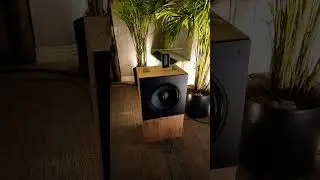 WOLF VON LANGA C.A.F. 2022 #audio #hifi #ocdhifiguy