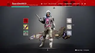 Destiny 2 Hunter Void Main
