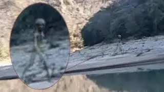 Странное межпространственное существо было заснято на камеру, когда шло по берегу озера в Боливии.