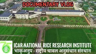 ICAR-NATIONAL RICE RESEARCH INSTITUTE DOCUMENTARY VIDEO🌾 | NRRI, CUTTACK VLOG✨|