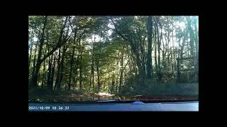 Drive to Cheoah Skyway   Via Tatham Gap Road  Saturday, October 9 2021.