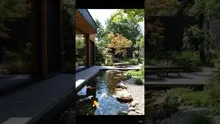 Modern Backyard Oasis🐟Zen Koi Pond and Garden Design