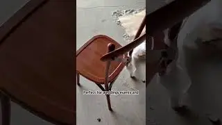 metal cross back chair in wooden color cross back chair for wedding event rentals