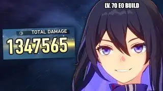 My E0 Seele Joined 1M DMG Gang